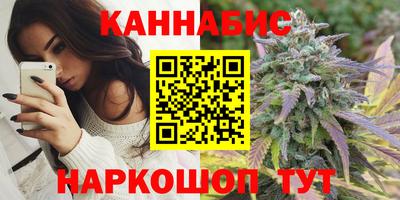 гашик Будённовск