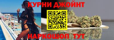 гашик Будённовск