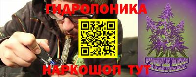 a pvp Бузулук