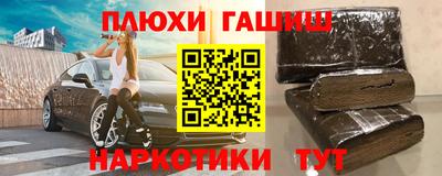 гашик Будённовск