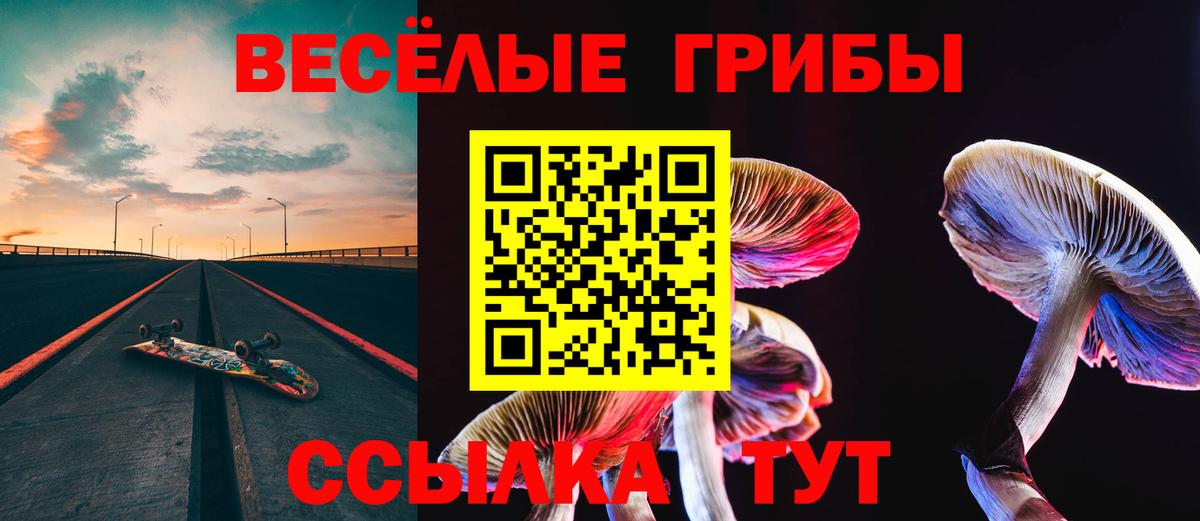 Псилоцибиновые грибы GOLDEN TEACHER Сатка