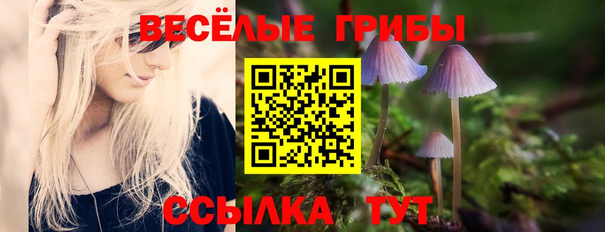 Галлюциногенные грибы прущие грибы  Вход с VPN  Сатка 